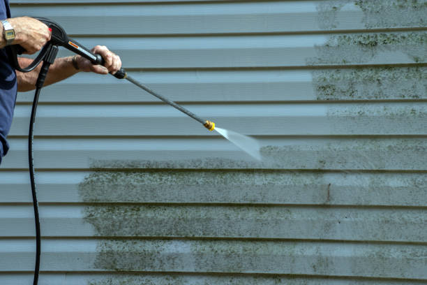 Best Window and Screen Pressure Cleaning in Marshallville, GA